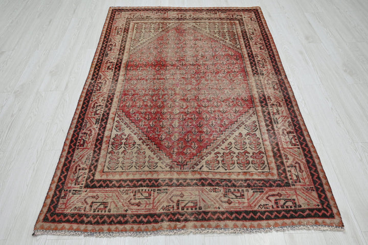 red Accent rug 4' 0" x 6' 4"