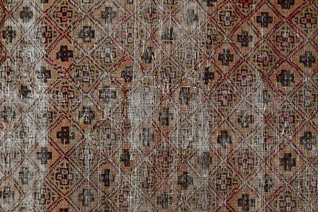 brown Accent rug 3' 5" x 6' 2"