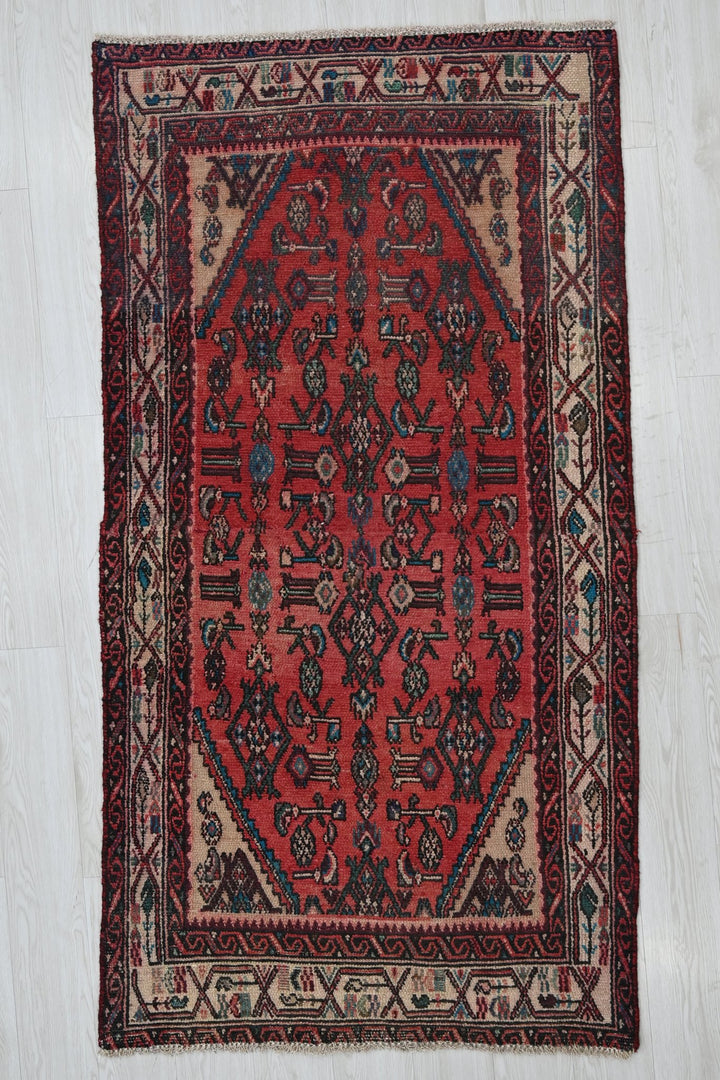 red Accent rug 3' 4" x 6' 6"
