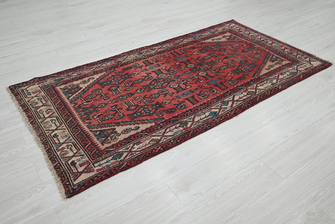 red Accent rug 3' 4" x 6' 6"