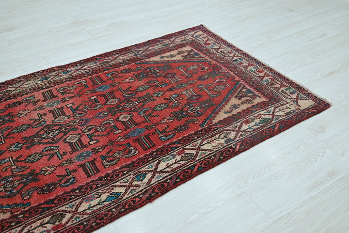red Accent rug 3' 4" x 6' 6"