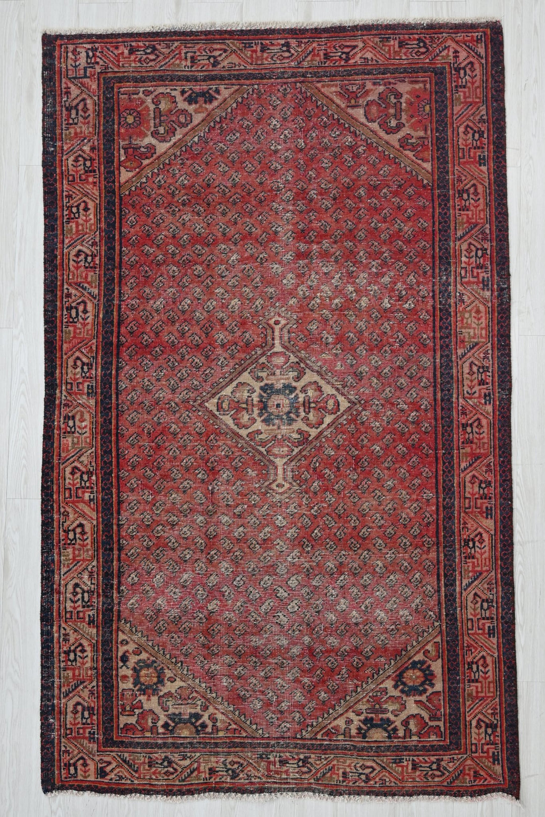 red Medium rug 4' 1" x 6' 9"