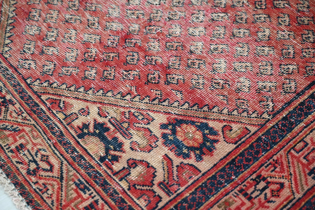red Medium rug 4' 1" x 6' 9"