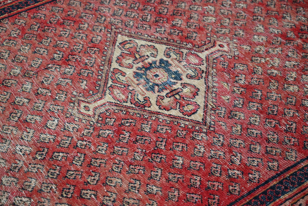 red Medium rug 4' 1" x 6' 9"