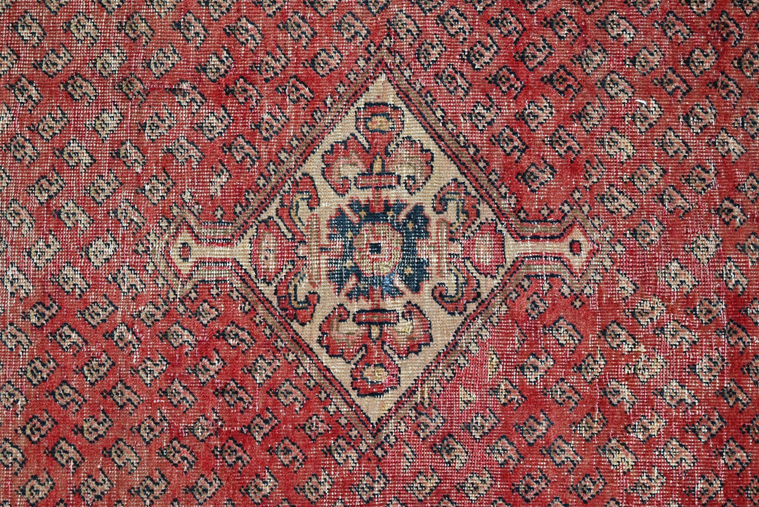 red Medium rug 4' 1" x 6' 9"