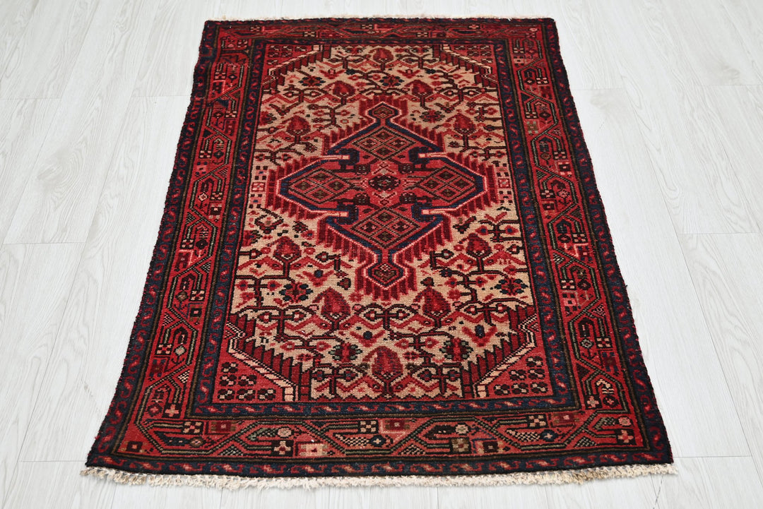 red Accent rug 2' 8" x 4' 1"