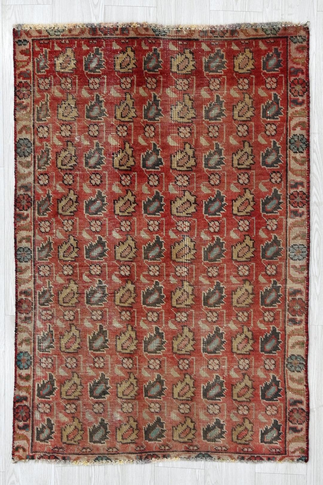 red Accent rug 2' 10" x 4' 2"