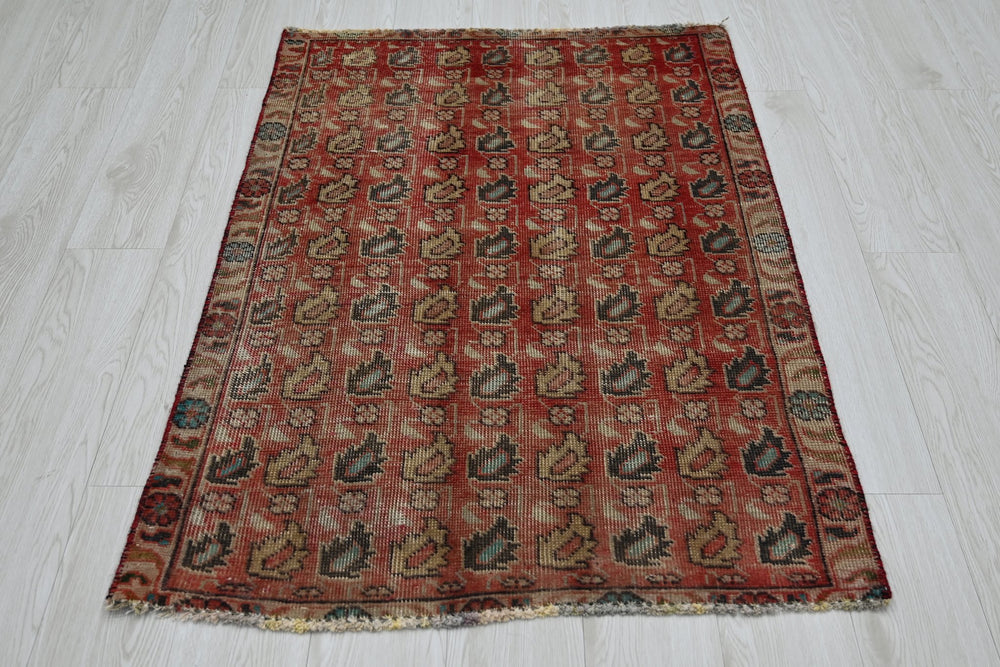 red Accent rug 2' 10" x 4' 2"