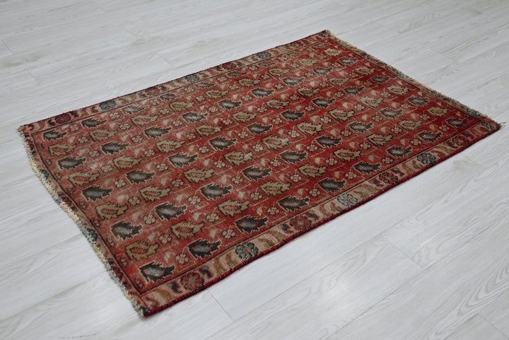 red Accent rug 2' 10" x 4' 2"
