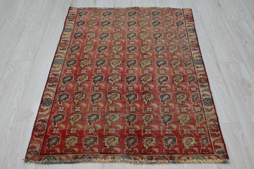 red Accent rug 2' 10" x 4' 2"
