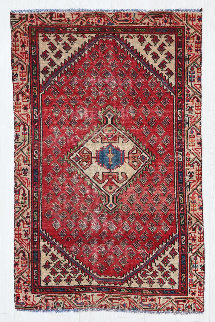 red Accent rug 2' 10" x 4' 9"