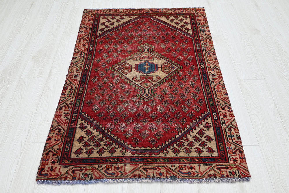 red Accent rug 2' 10" x 4' 9"