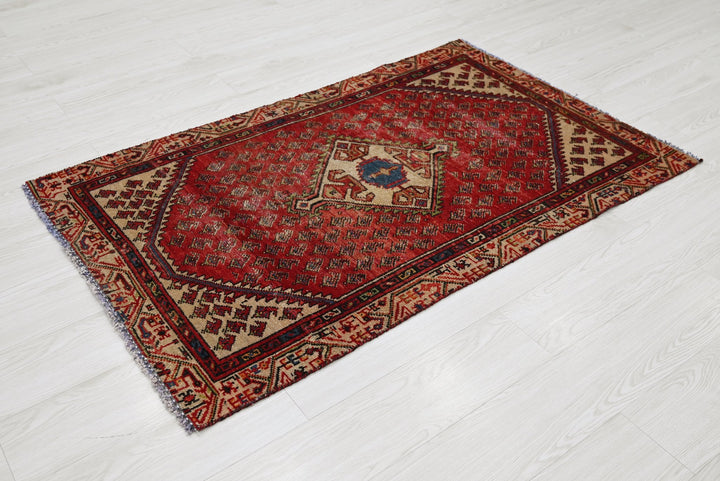 red Accent rug 2' 10" x 4' 9"