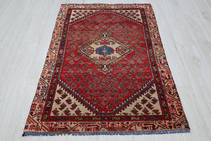 red Accent rug 2' 10" x 4' 9"