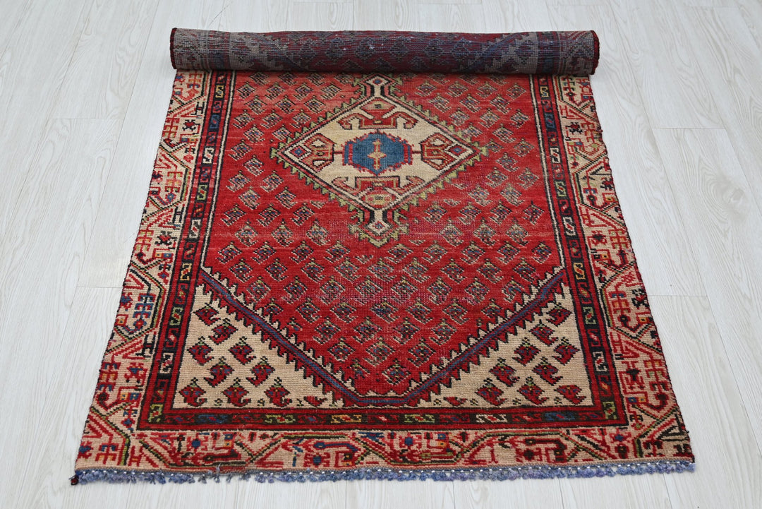 red Accent rug 2' 10" x 4' 9"