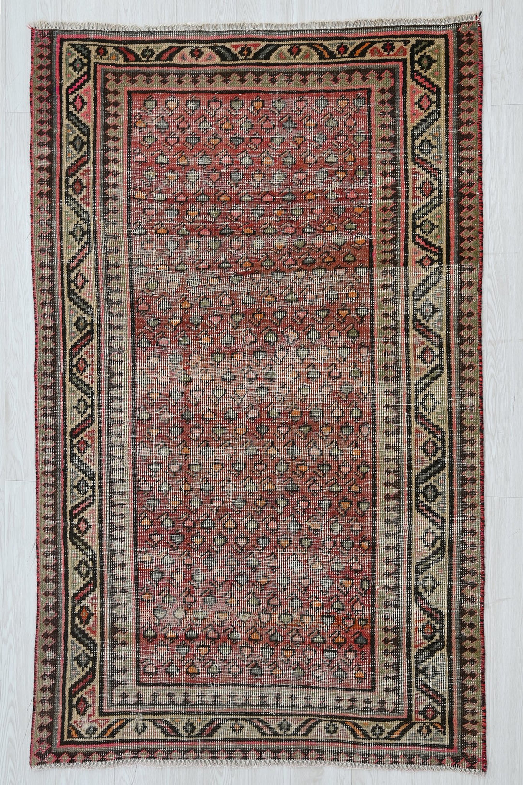 red Accent rug 3' 8" x 5' 9"