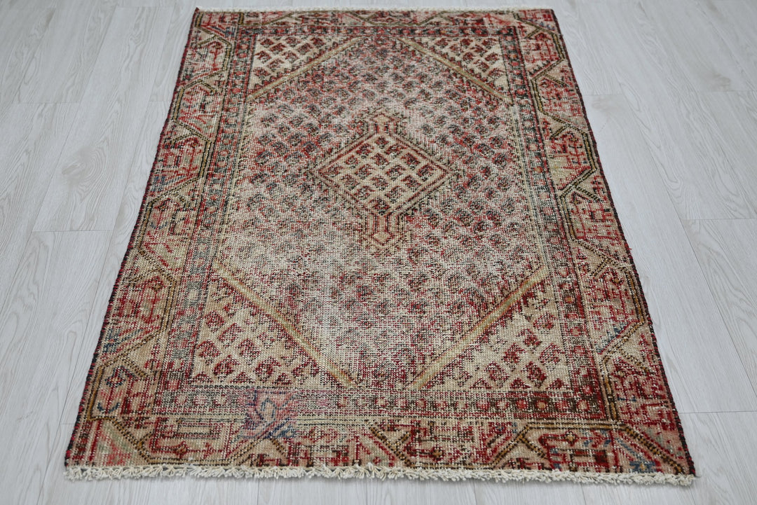 brown Accent rug 2' 11" x 4' 8"