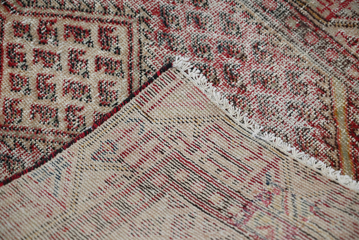 brown Accent rug 2' 11" x 4' 8"