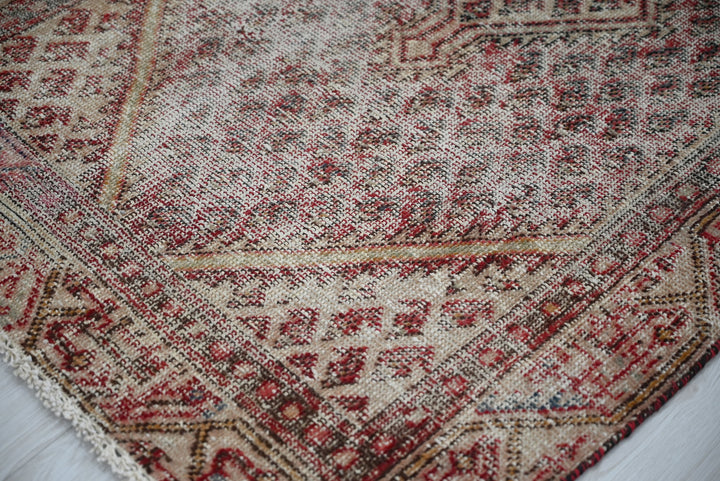 brown Accent rug 2' 11" x 4' 8"