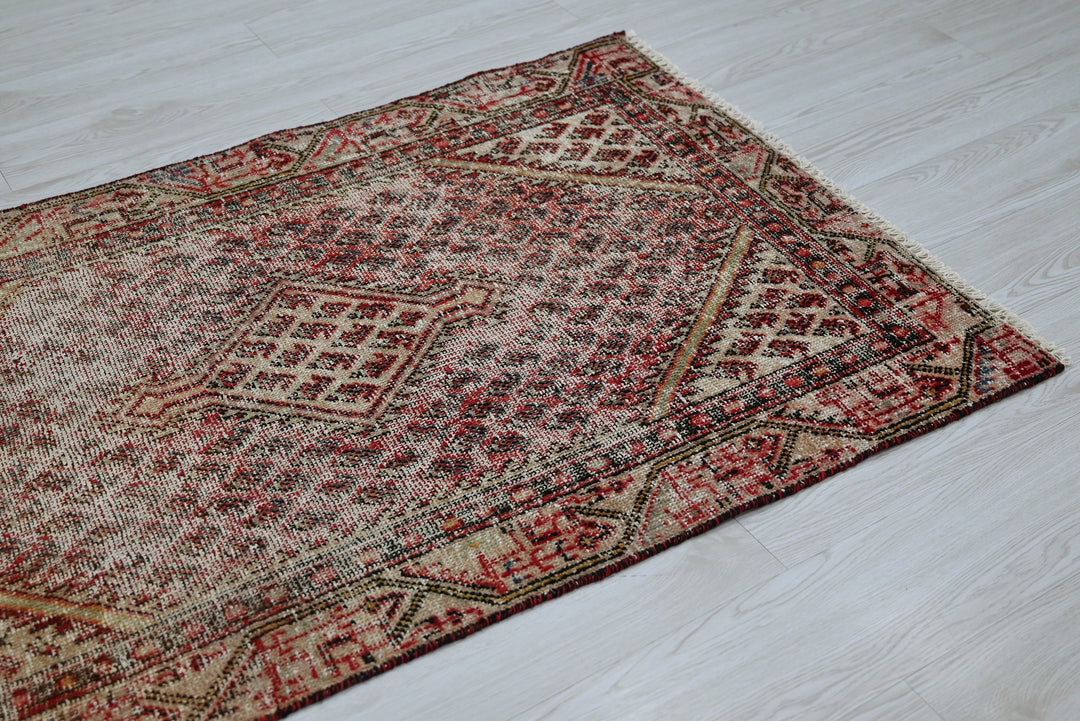 brown Accent rug 2' 11" x 4' 8"