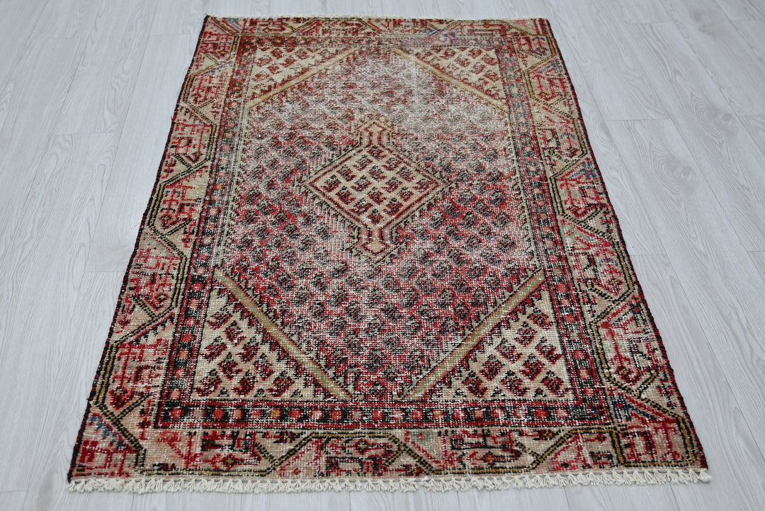 brown Accent rug 2' 11" x 4' 8"