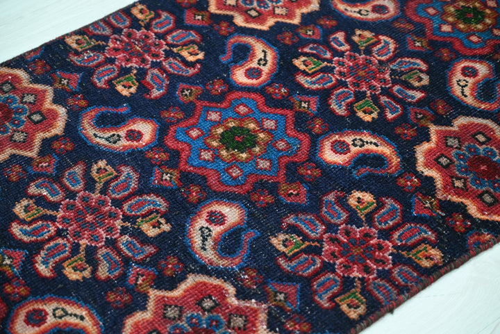 blue Runner rug 2' 4" x 7' 1"