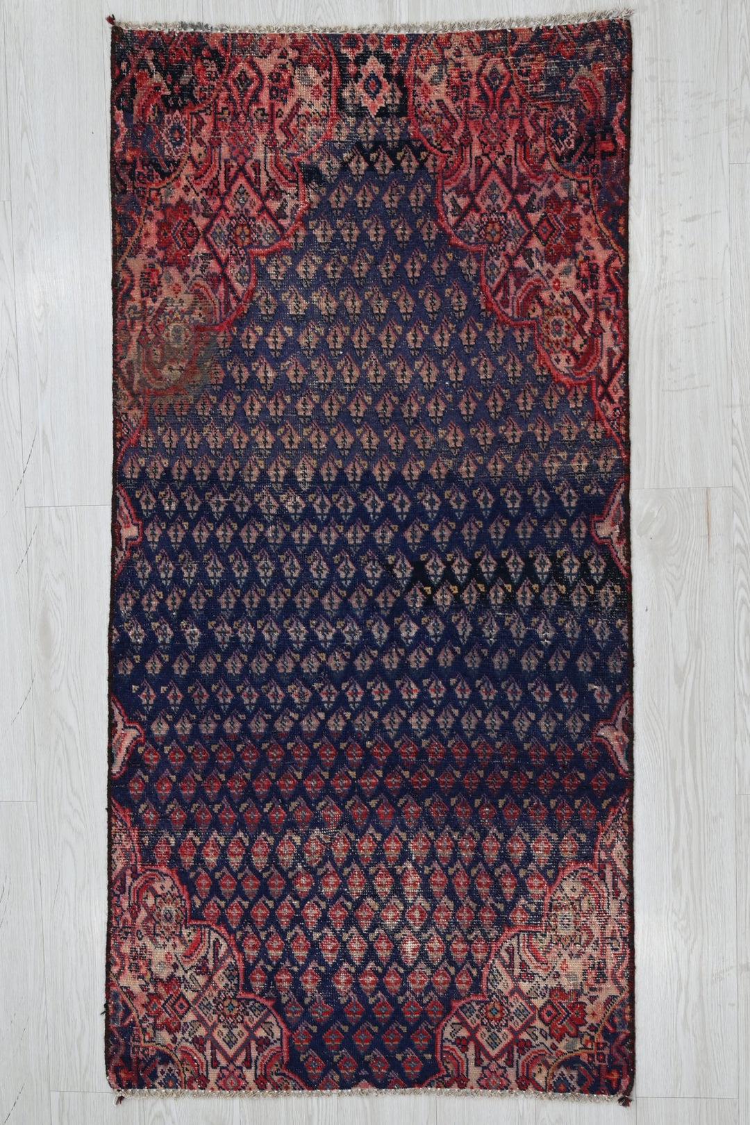 blue Accent rug 2' 8" x 5' 2"