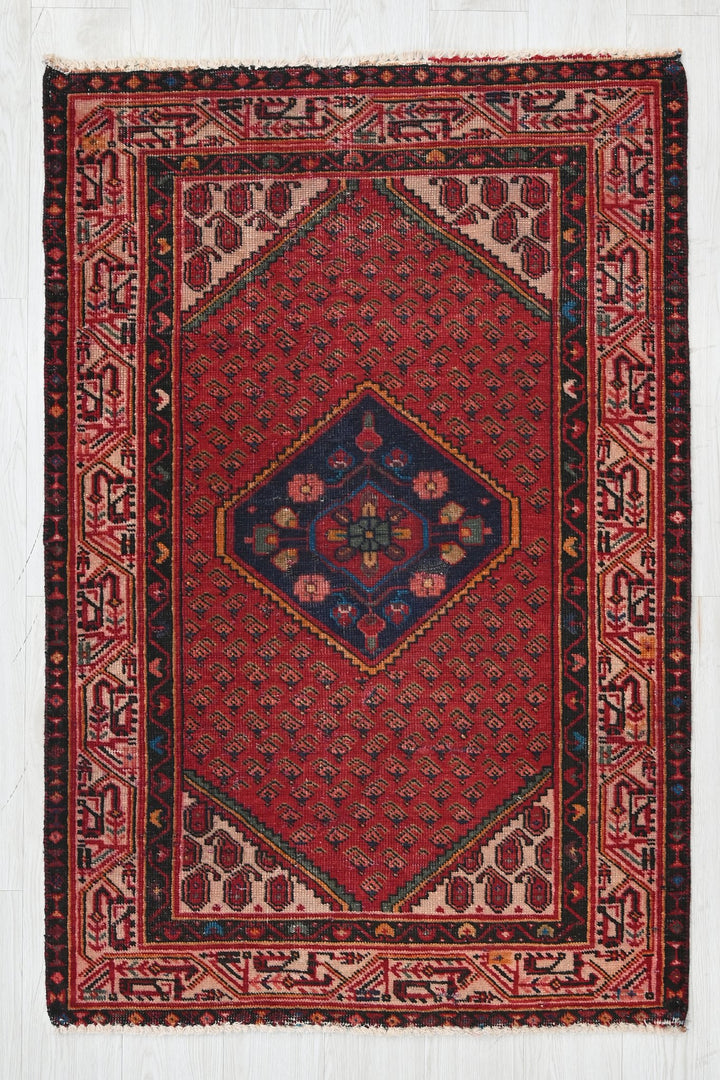 red Accent rug 3' 3" x 4' 11"