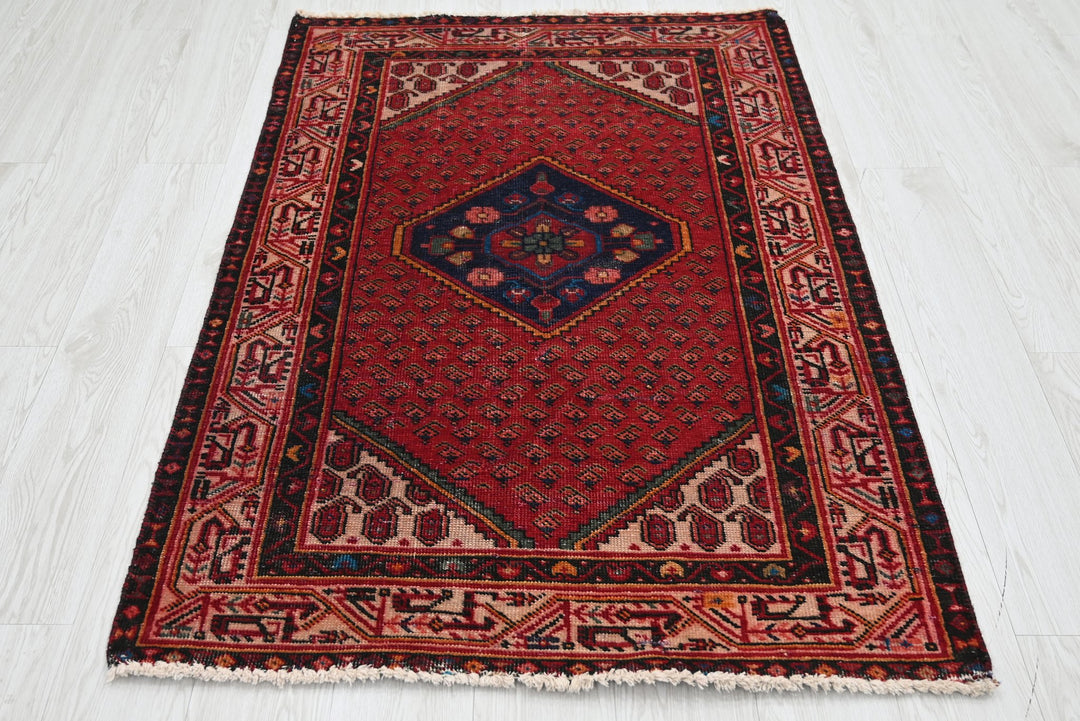 red Accent rug 3' 3" x 4' 11"