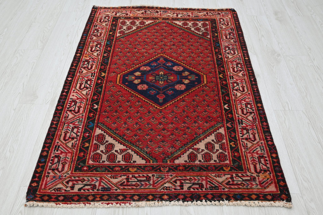 red Accent rug 3' 3" x 4' 11"