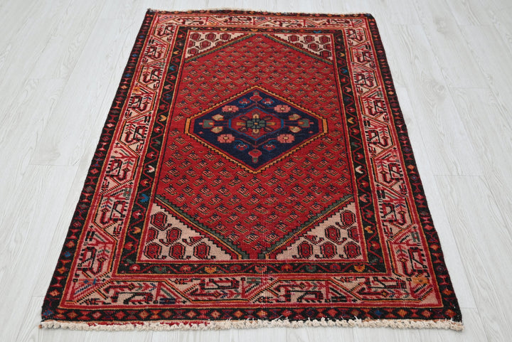 red Accent rug 3' 3" x 4' 11"