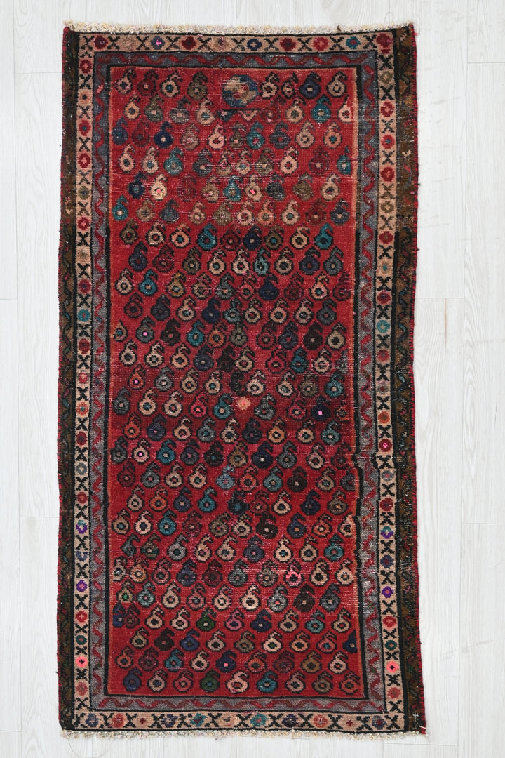 red Runner rug 2' 4" x 4' 8"