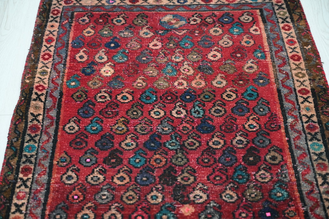 red Runner rug 2' 4" x 4' 8"
