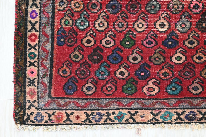 red Runner rug 2' 4" x 4' 8"