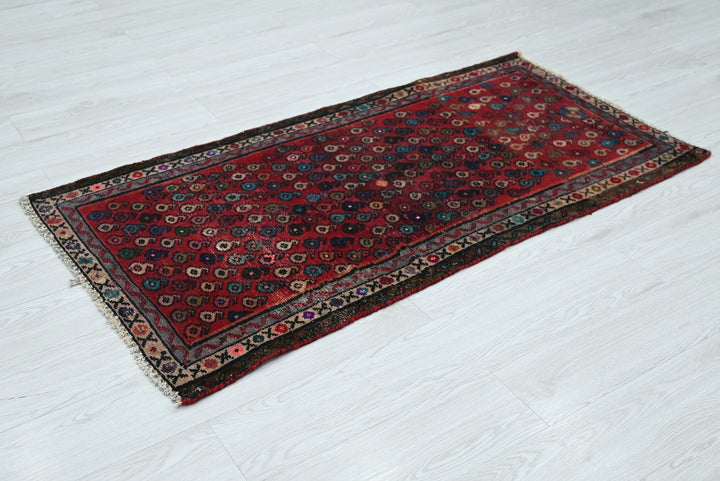 red Runner rug 2' 4" x 4' 8"