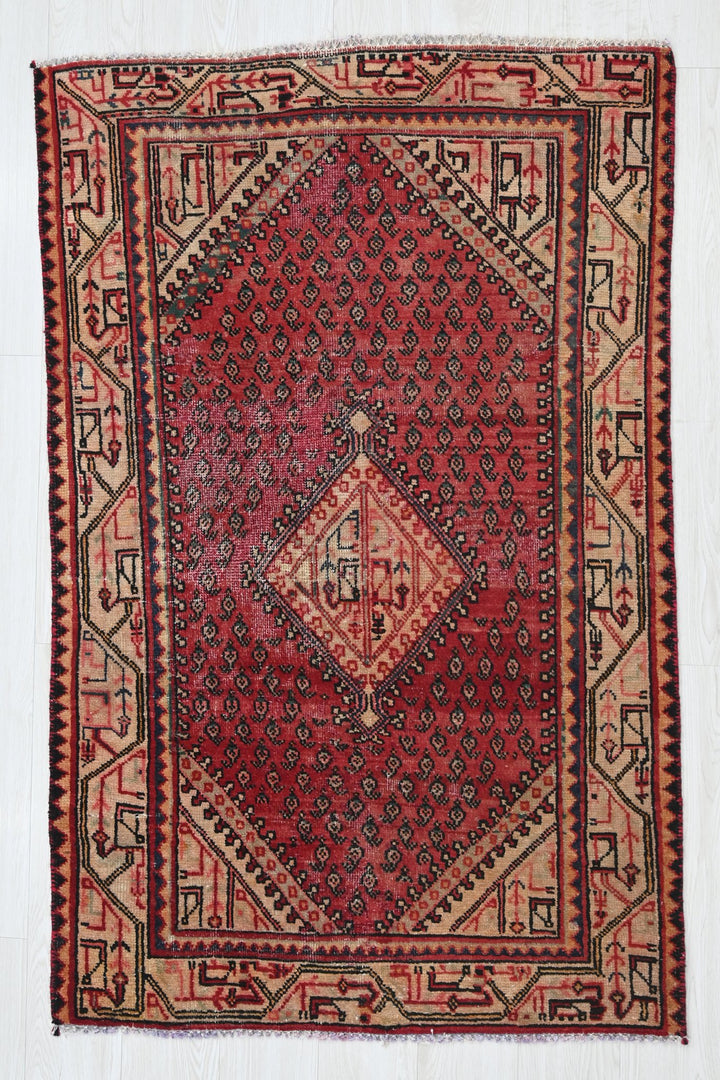 red Accent rug 3' 2" x 4' 11"