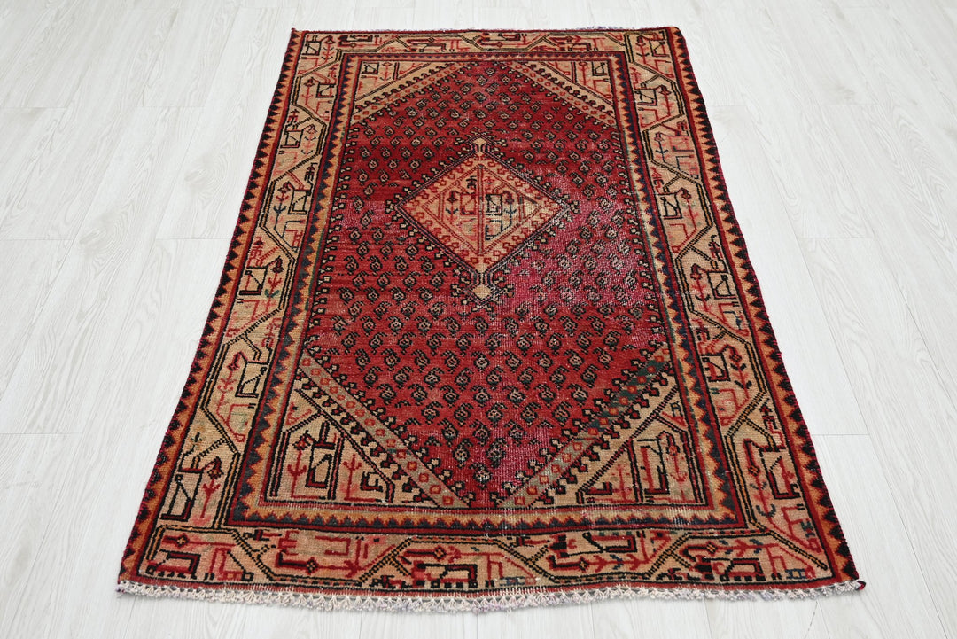 red Accent rug 3' 2" x 4' 11"