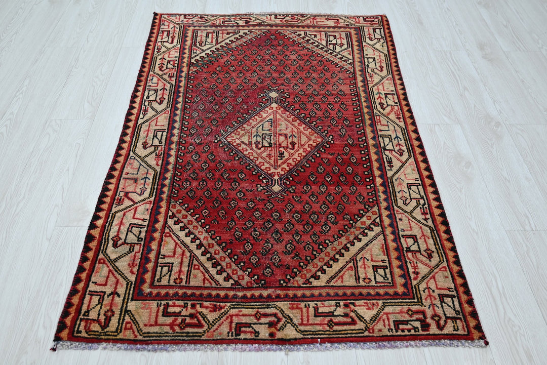 red Accent rug 3' 2" x 4' 11"