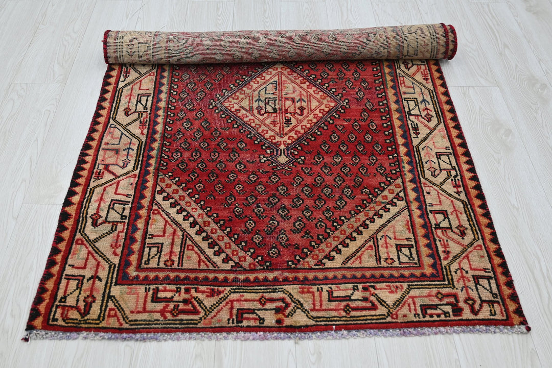 red Accent rug 3' 2" x 4' 11"