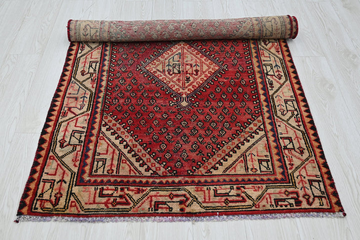 red Accent rug 3' 2" x 4' 11"