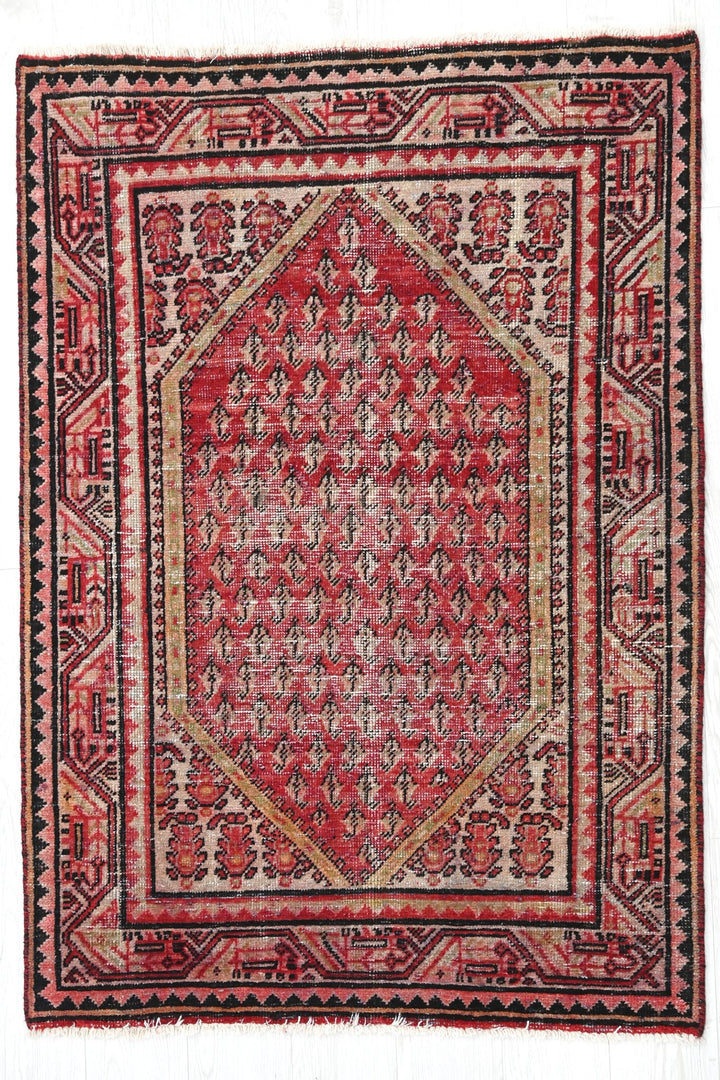 red Accent rug 3' 3" x 4' 8"
