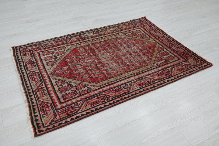red Accent rug 3' 3" x 4' 8"