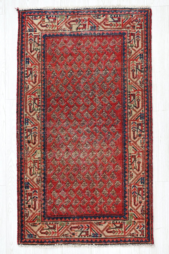 red Accent rug 2' 5" x 4' 1"