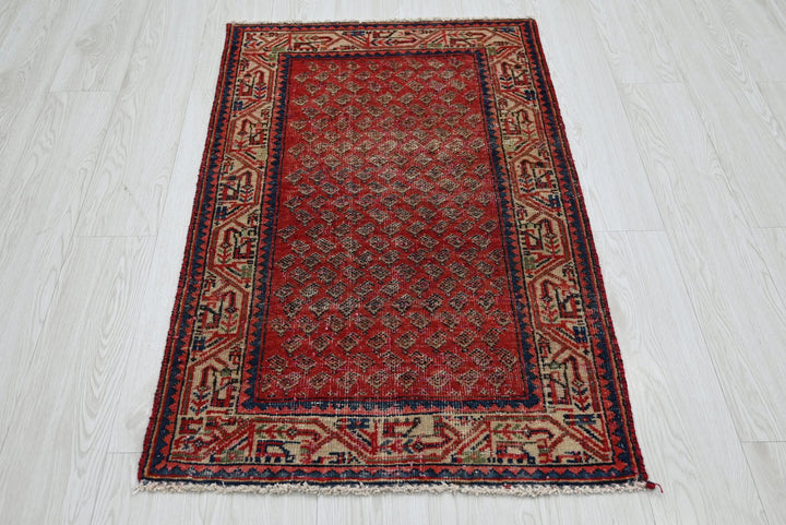 red Accent rug 2' 5" x 4' 1"