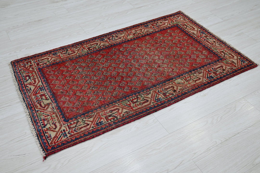 red Accent rug 2' 5" x 4' 1"