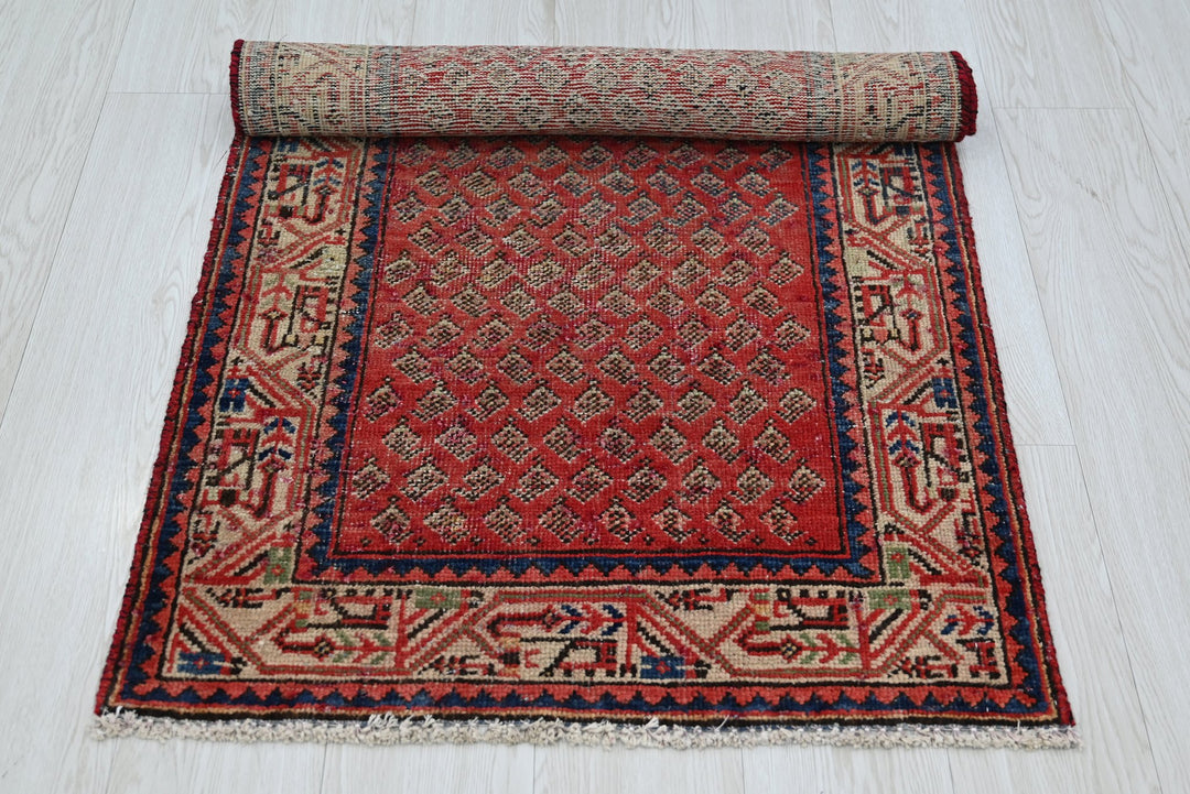 red Accent rug 2' 5" x 4' 1"