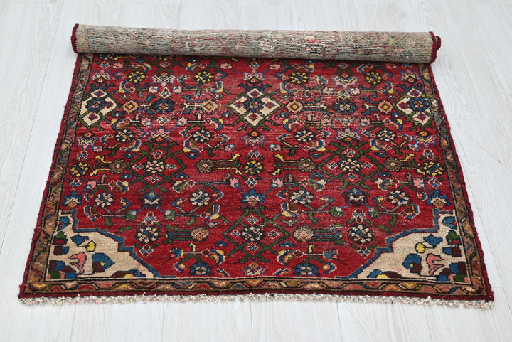 red Accent rug 2' 9" x 4' 1"