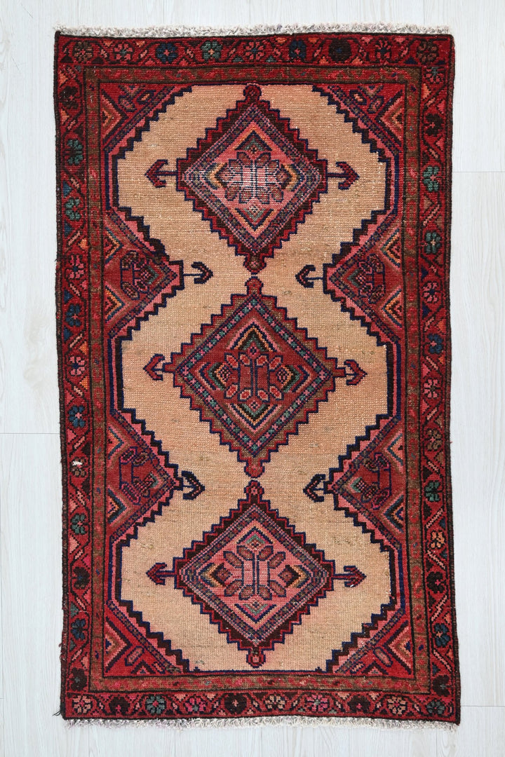 brown Accent rug 2' 3" x 3' 9"
