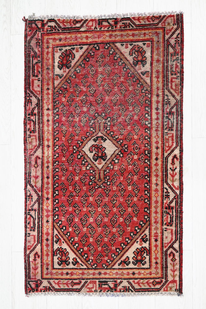 red Accent rug 2' 1" x 3' 8"