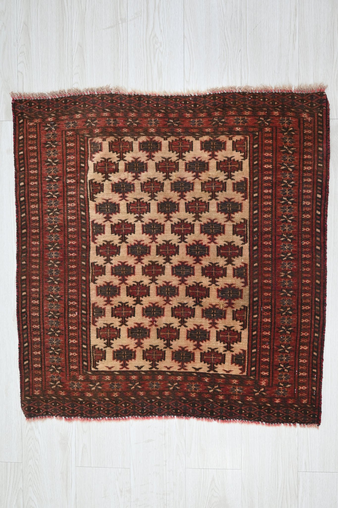 brown Accent rug 2' 9" x 2' 9"